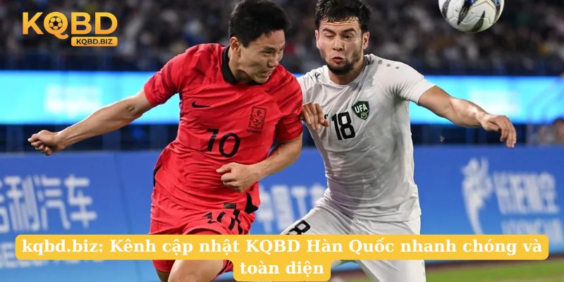 dogsflesh.com: Kênh cập nhật KQBD Hàn Quốc nhanh chóng và toàn diện